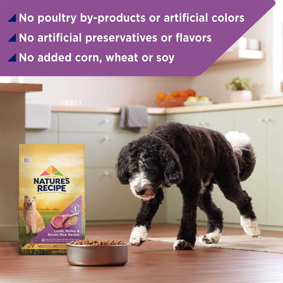Adult Dry Dog Food E75162