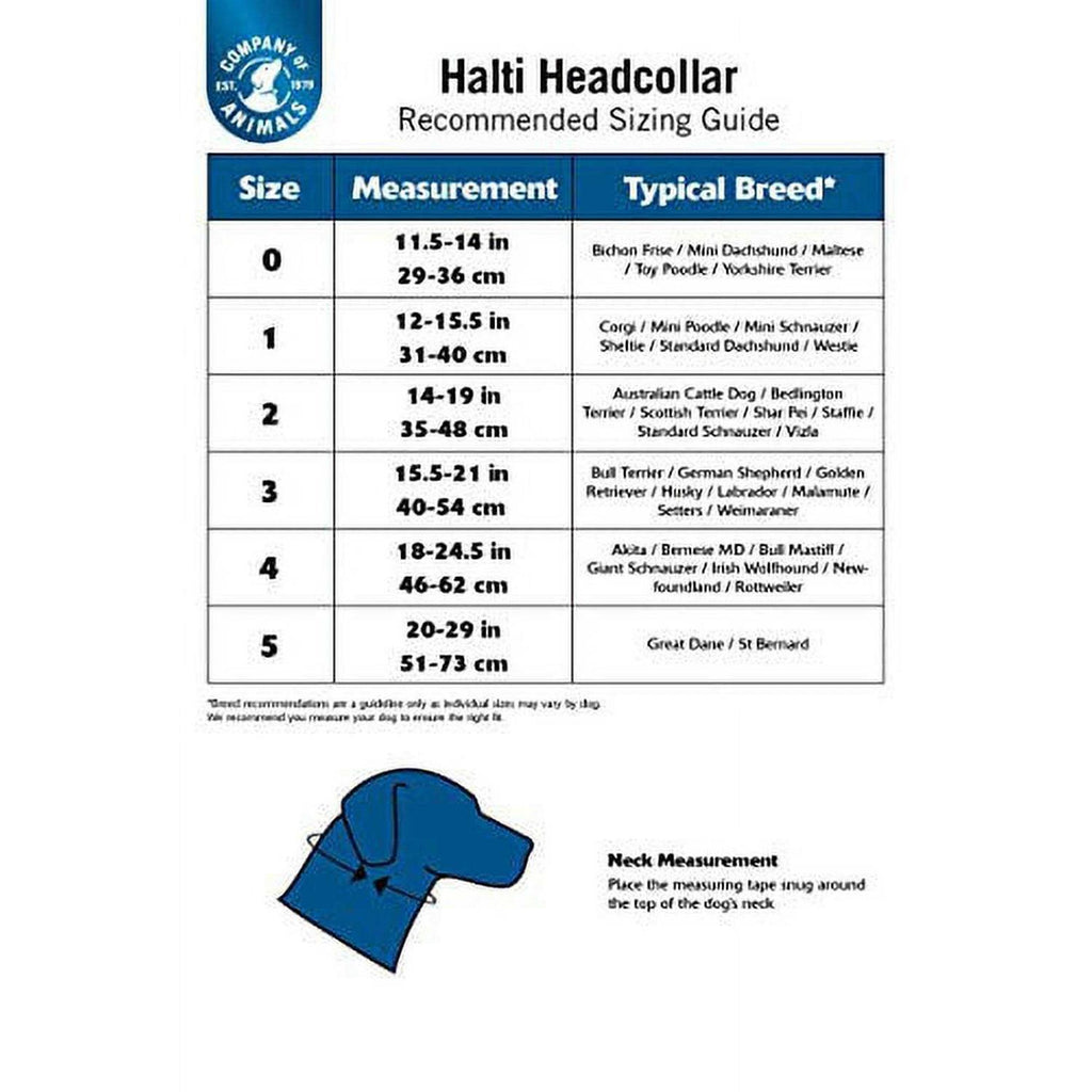 Black Head Collar and Double Lead E5330