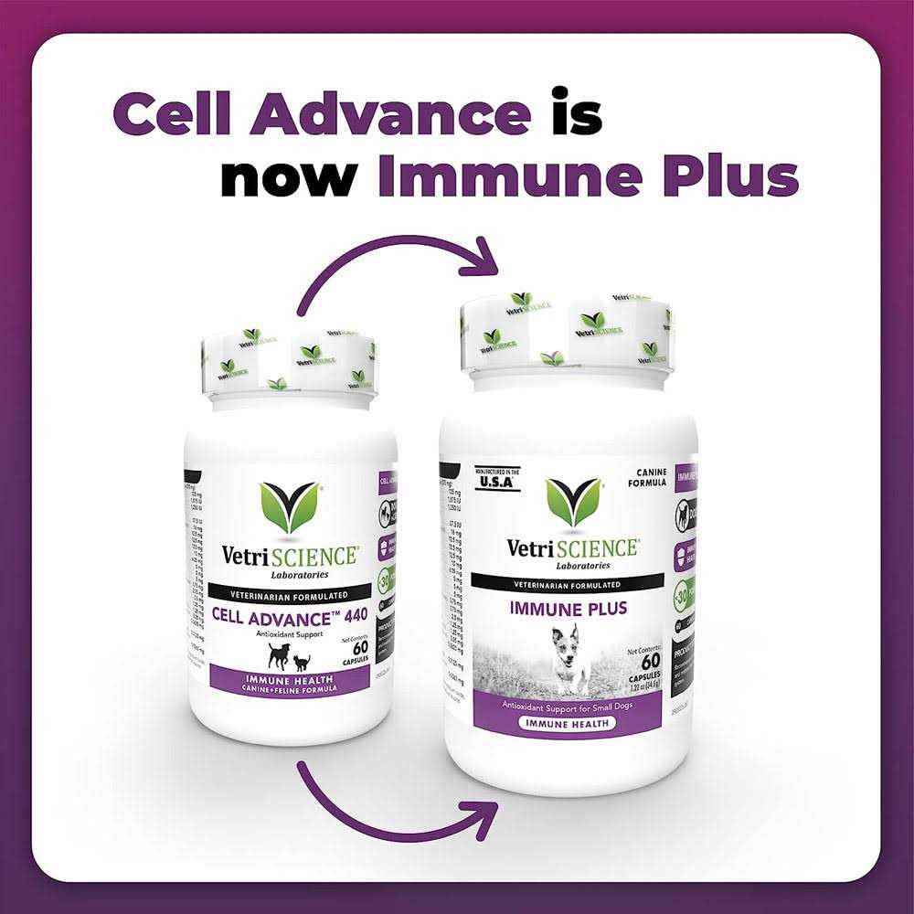 Immune Plus for Small Dogs Q280