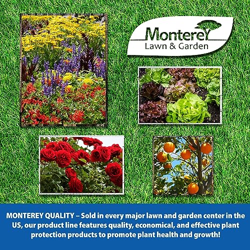 One Pint Spurge Power Herbicide F63531