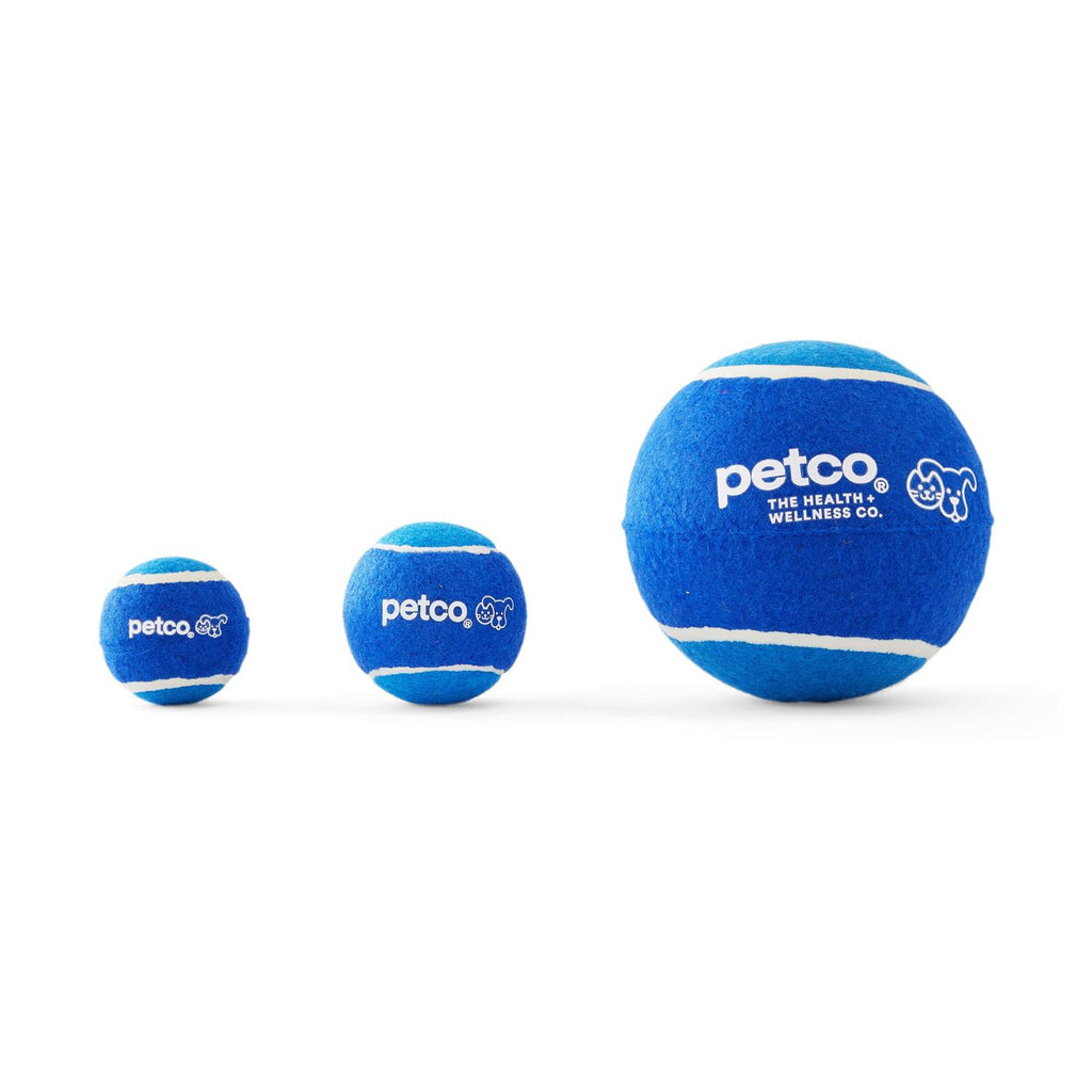 Tennis Ball Dog Toy Q89569