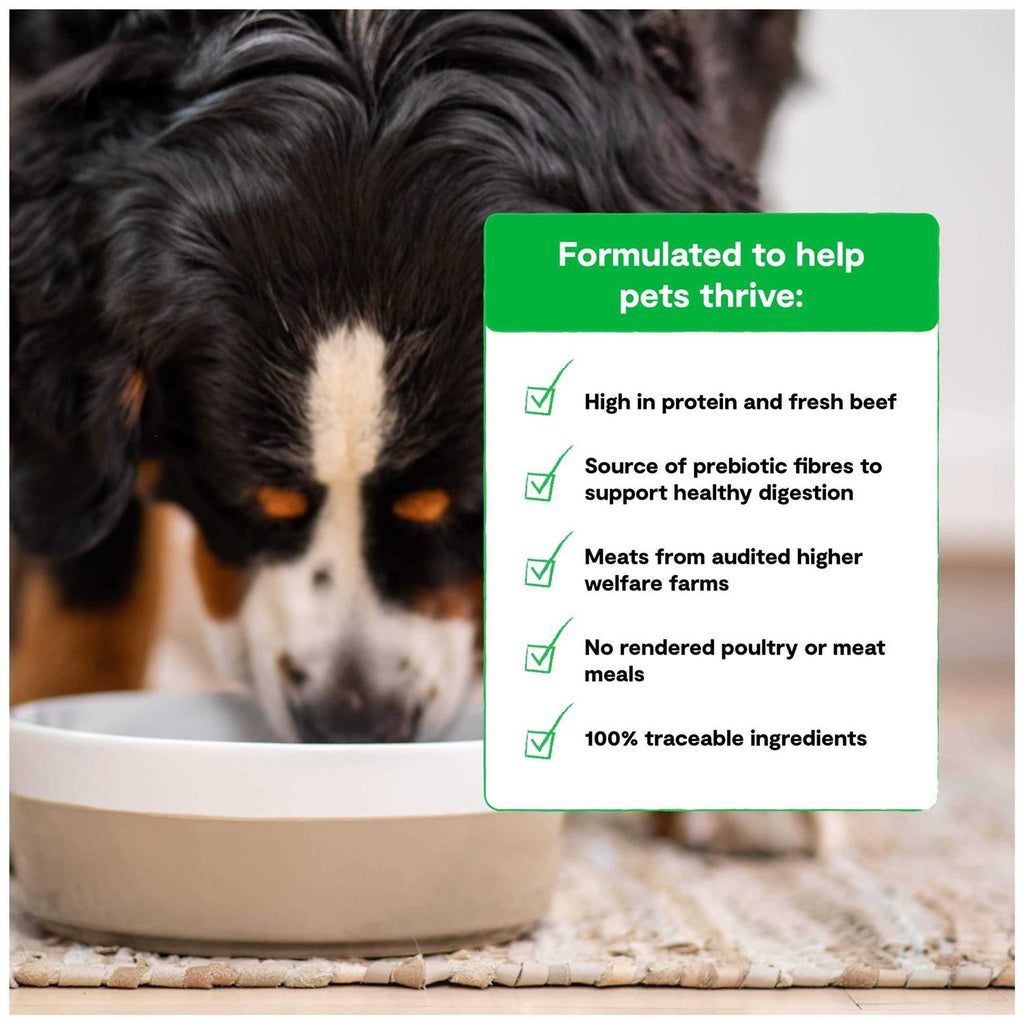 Grass Fed Beef Grain Free Dry Dog Food U645777