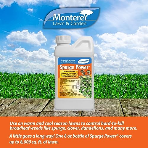 One Pint Spurge Power Herbicide F63531