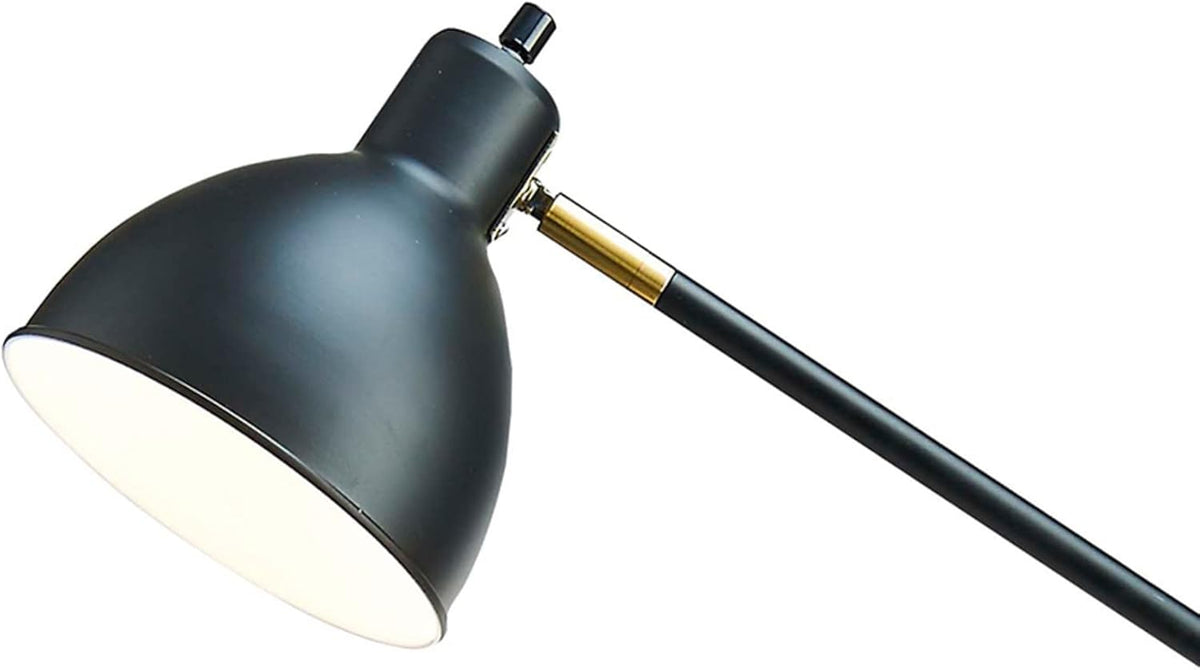 Modern Adjustable Metal Floor Lamp with Brass Accents, Classic Black P94008