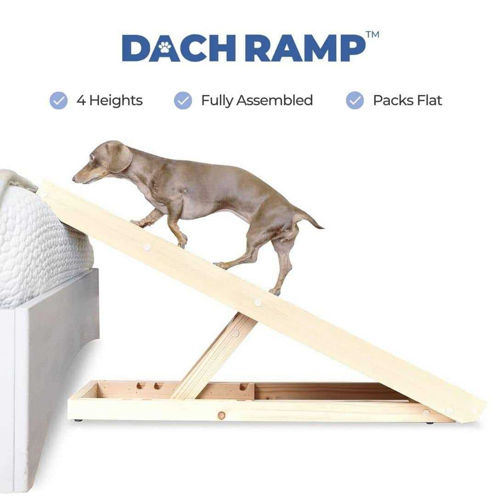 Dachshund Ramp T9934