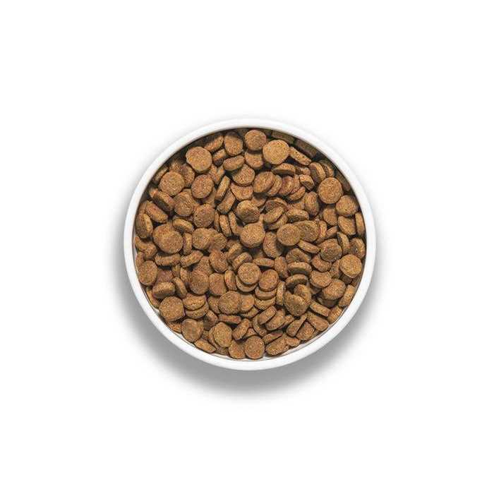 Pork Recipe Dog Food L51021
