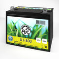 Lawn Mower and Tractor Battery M39154