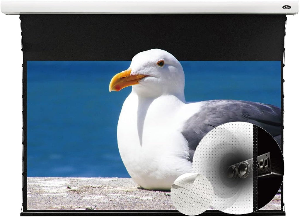 Slimline Motorized Tension Pull Down Screen Projector Perforated Transparent Acoustically White Cinema K150