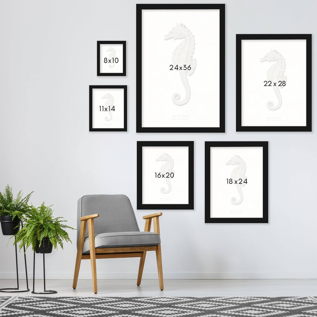 Greige Sea Horse 2 Piece Black Framed Print Set T255896