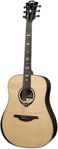 50 Dreadnought Bevel Gloss Acoustic Guitar B7363