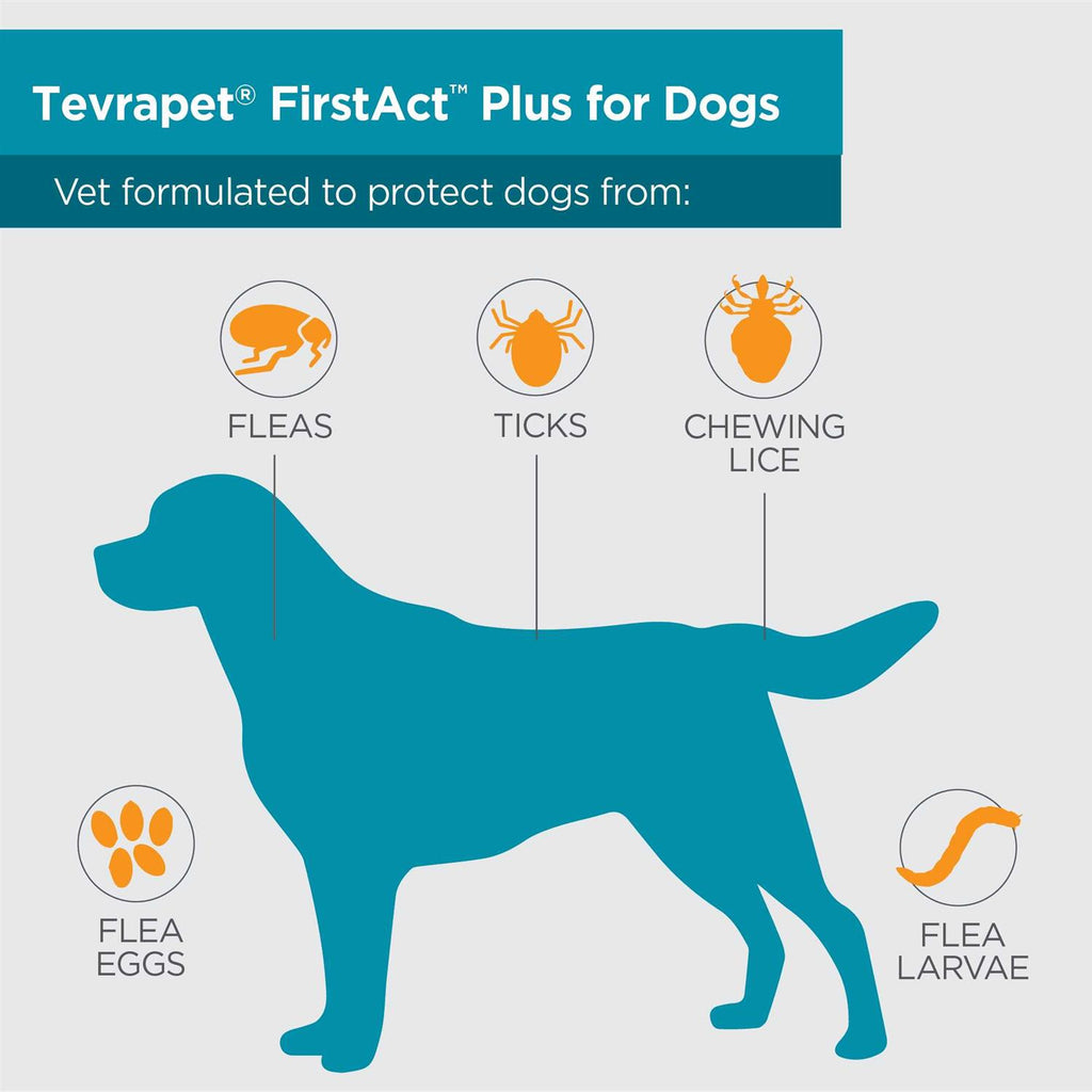 Flea and Tick Prevention Dogs R13026