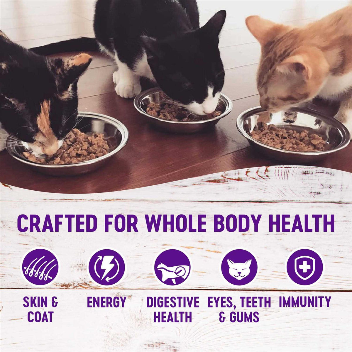 Grain-Free Wet Cat Food Pouch X993213