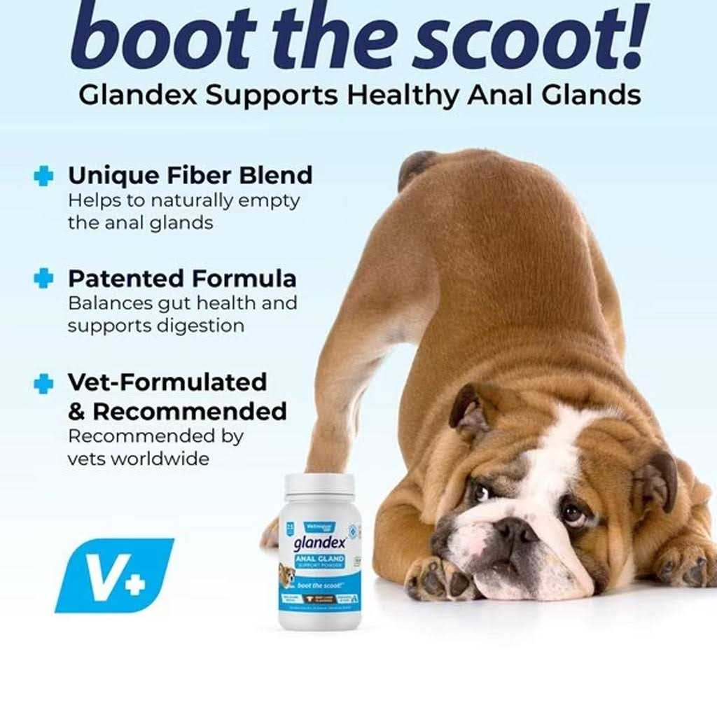 Anal Gland Support Powder for Dogs & Cats T965685