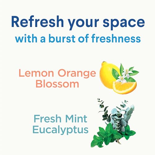 Disinfecting Mist, Lemon and Orange Blossom, 2 Pack, 16 Fl Oz Each B284846