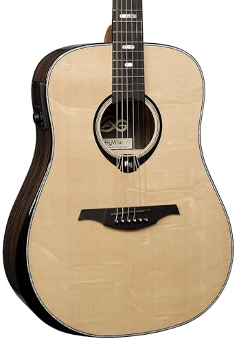 50 Dreadnought Bevel Gloss Acoustic Guitar B7363