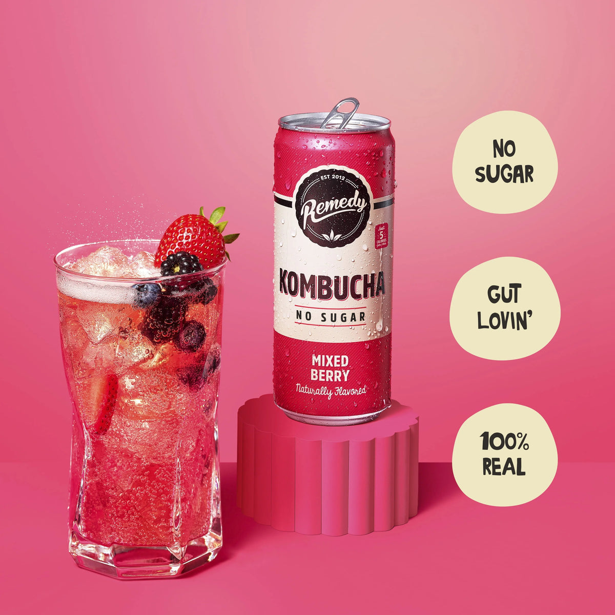 Mixed Berry Sugar Free Kombucha 12 Pk 11.2 oz Cans D171