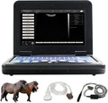 Veterinary Ultrasound Scanner with Convex and Rectal Linear Probe A22577