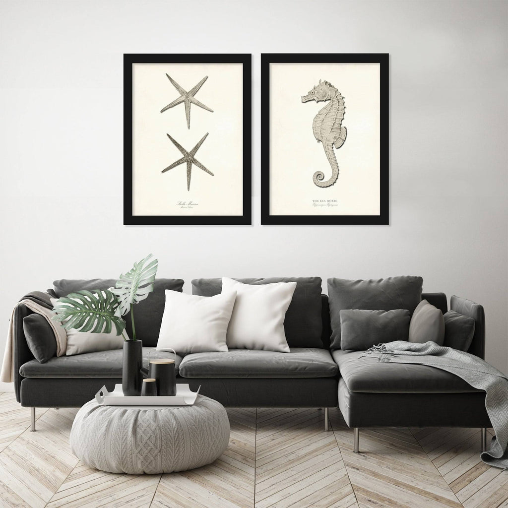 Greige Sea Horse 2 Piece Black Framed Print Set T255896