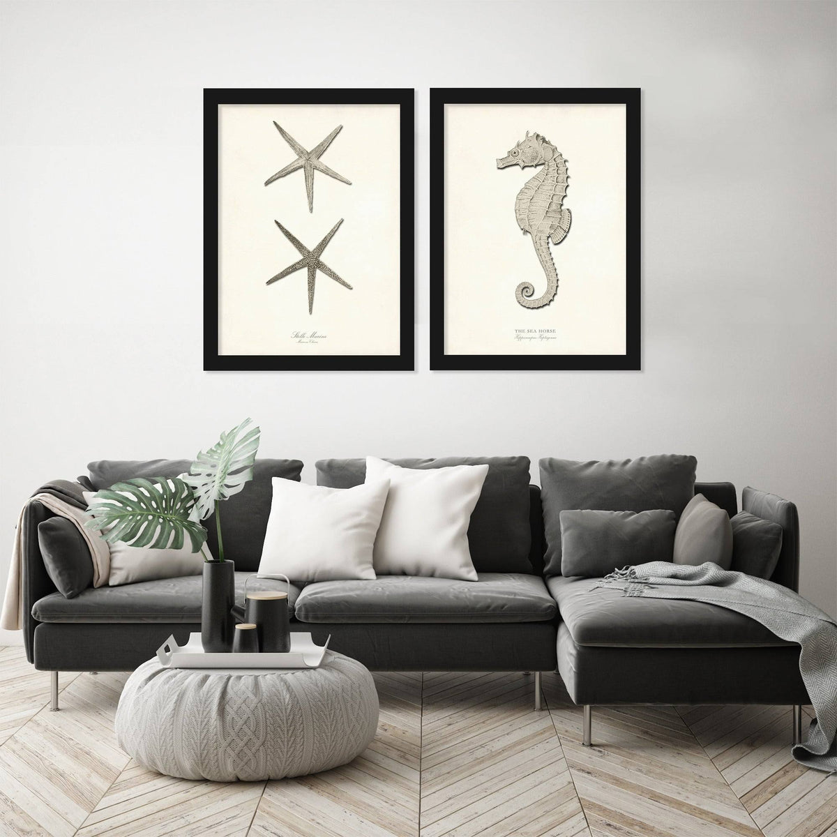 Greige Sea Horse 2 Piece Black Framed Print Set T255896