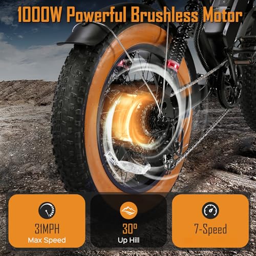 1000W 20" Fat Tire 48V 17.5AH Removable Battery Electric Bike D3134
