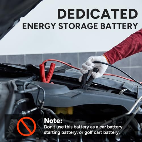12V 100Ah LiFePO4 Battery (4 Pack) W9933