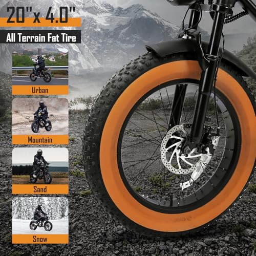 1000W 20" Fat Tire 48V 17.5AH Removable Battery Electric Bike D3134