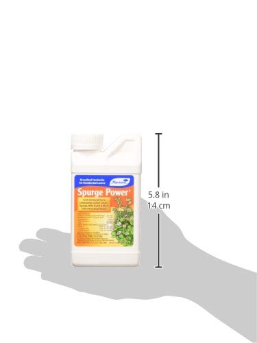 One Pint Spurge Power Herbicide F63531