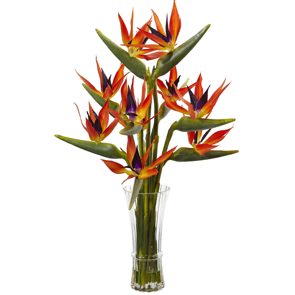 Large Birds of Paradise in Vase T669606