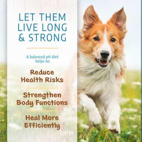 Limited Ingredient Dry Dog Food M896667