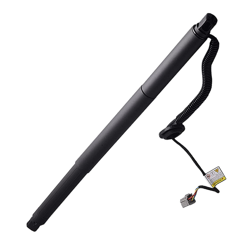Power Liftgate Strut Rear Left R622