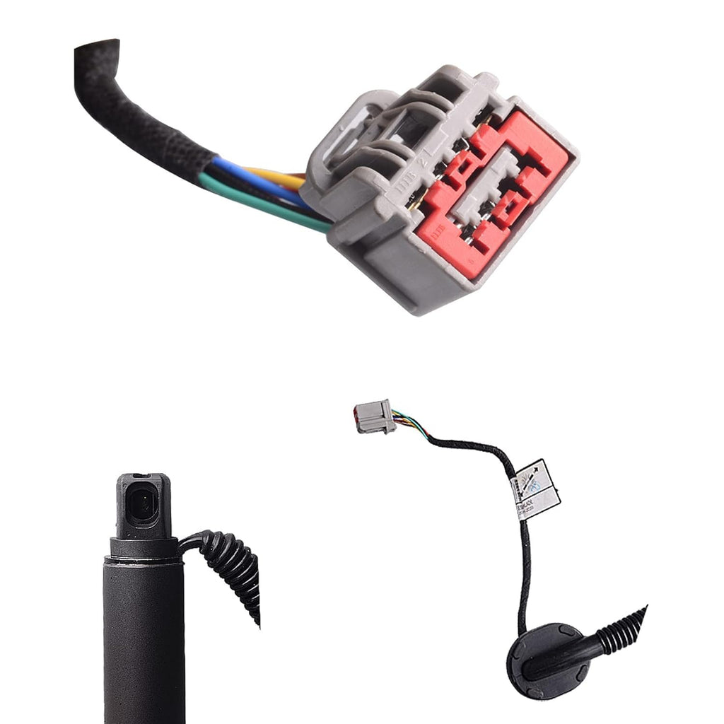 Power Liftgate Strut Rear Left R622