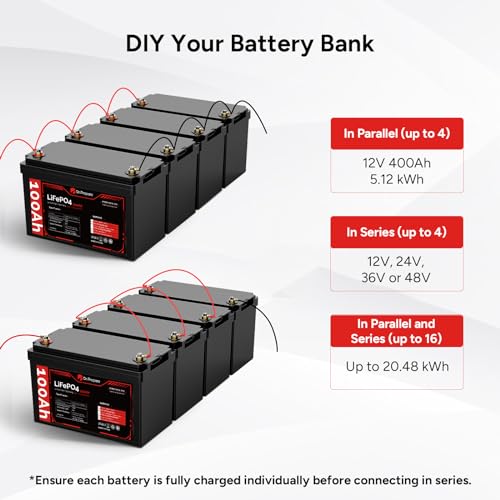 12V 100Ah LiFePO4 Battery (4 Pack) W9933