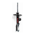 Shock Absorber and Strut Assembly H3073