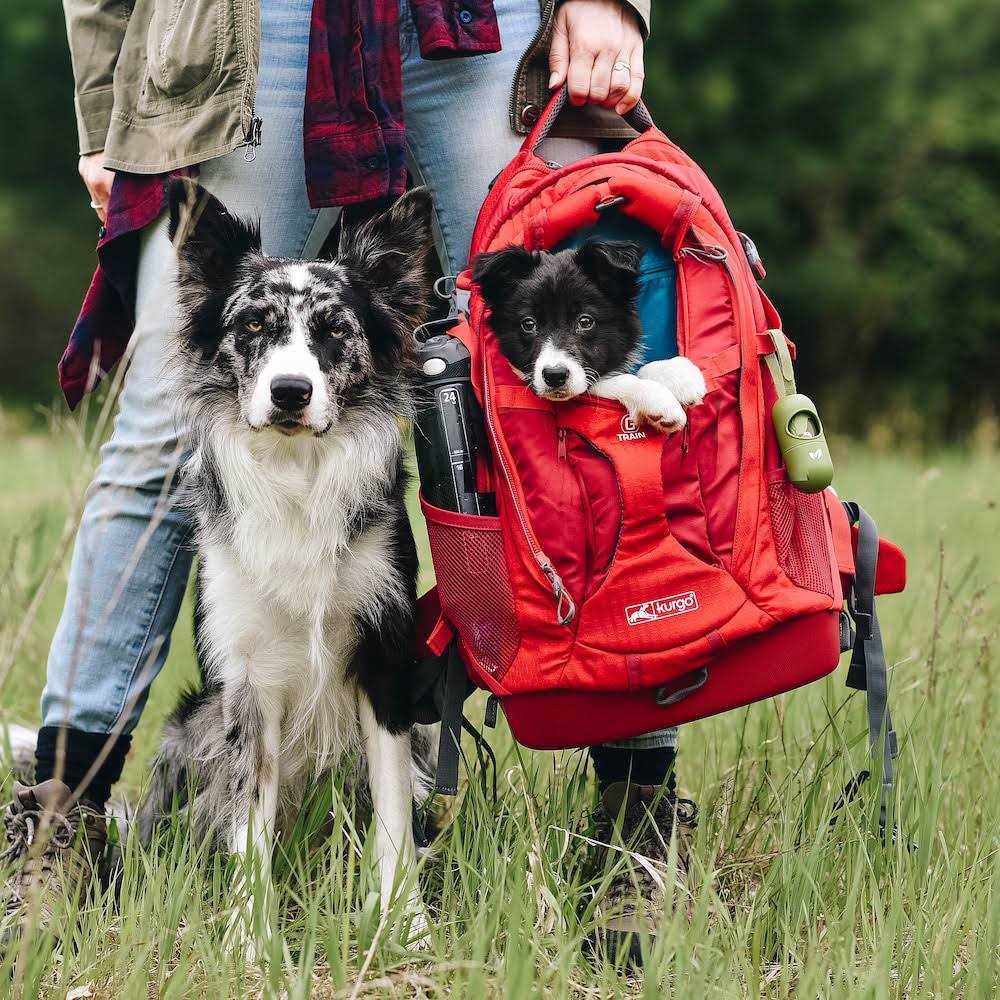 Backpack Dog Carrier K1939