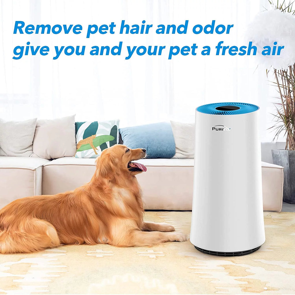 H13 True HEPA Air Purifier, Blue, 13*13*24 inch Y54917
