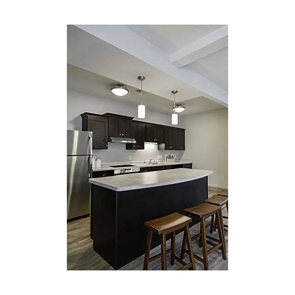 Espresso Double Door Kitchen Cabinet Z4798