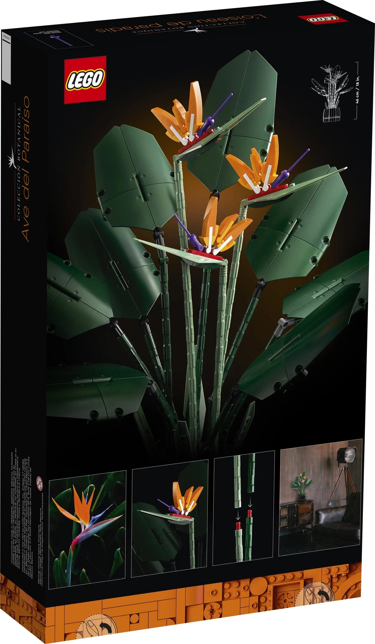 Bird of Paradise Flowers & Plants Model Y903556