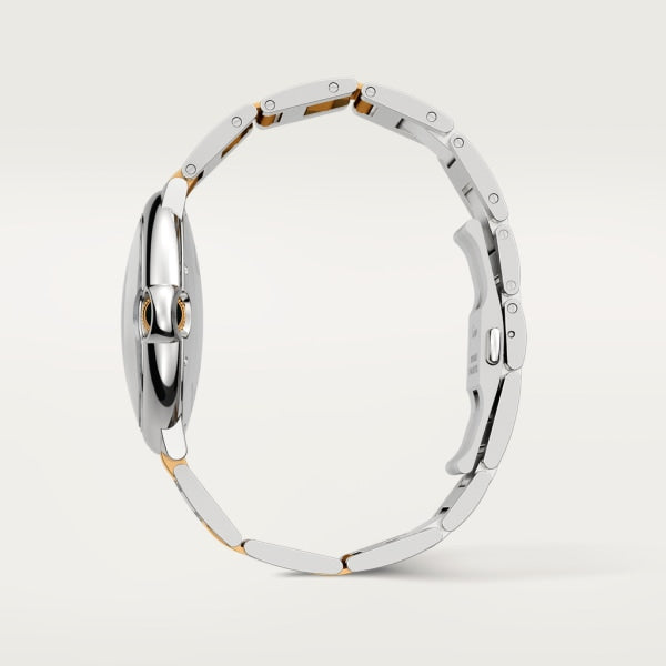 Gold Mix 42mm W320614
