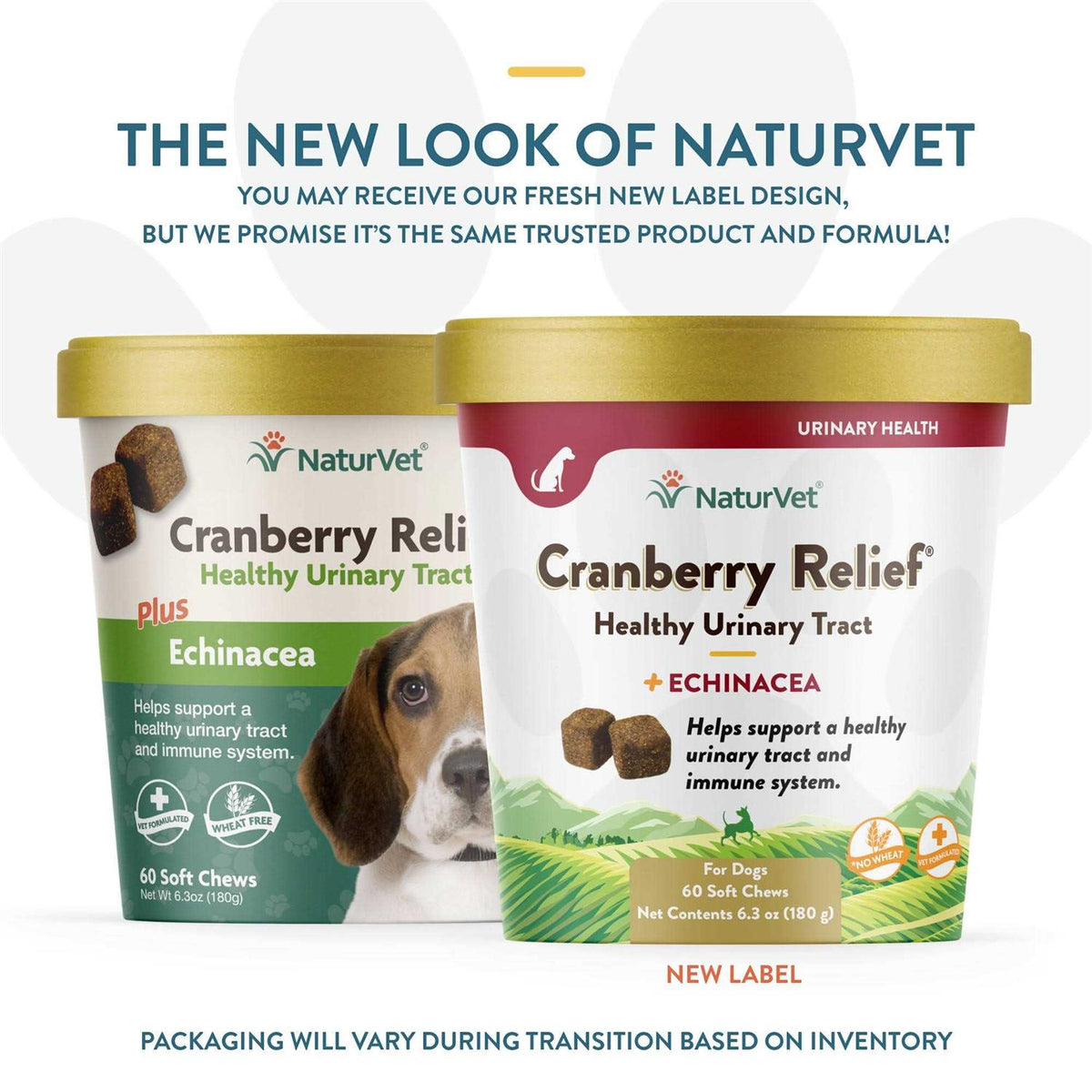 Cranberry Relief Plus Echinacea Soft Chews for Dogs E72299