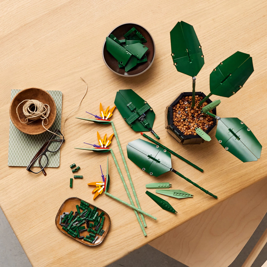 Bird of Paradise Flowers & Plants Model Y903556