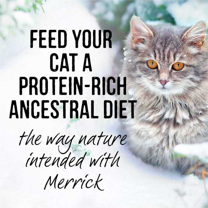 Real Cuts Cat Food D754