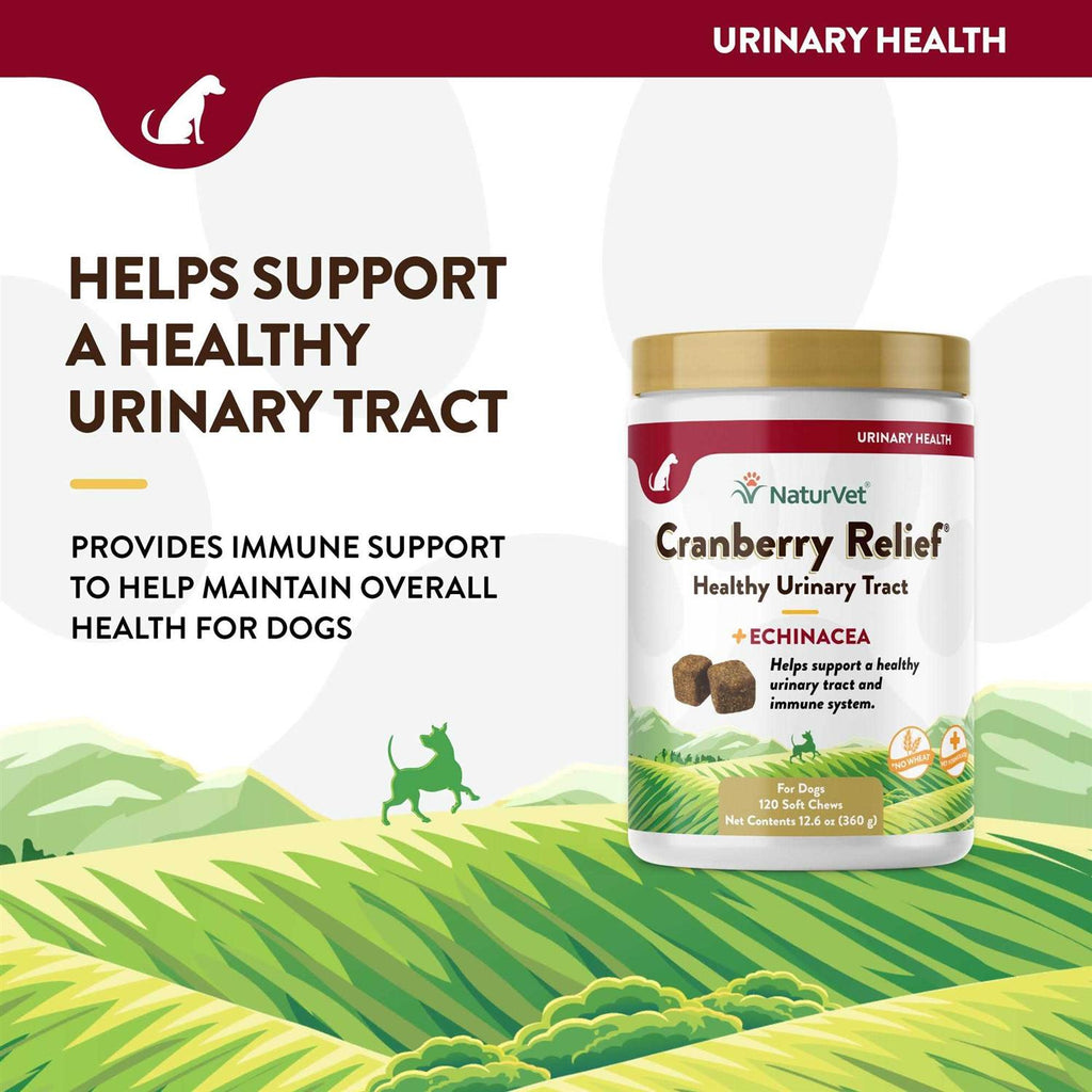 Cranberry Relief Plus Echinacea Soft Chews for Dogs E72299