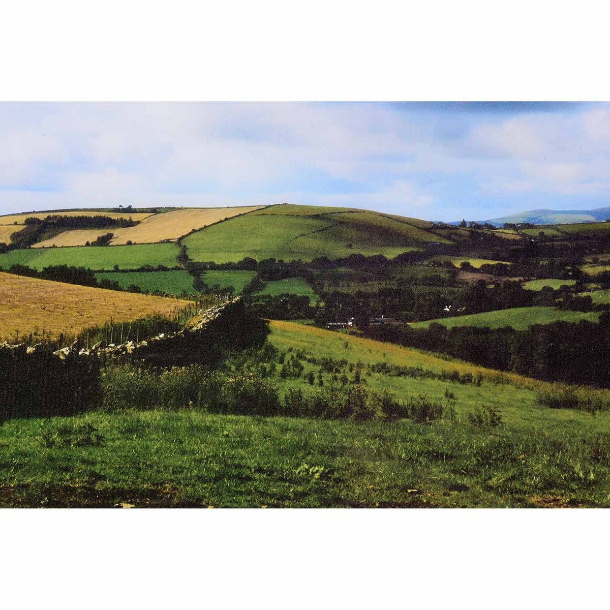 Large Printed Photograph 36 x 48 x 0.25 in. S351