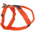 Dog Harness F420562