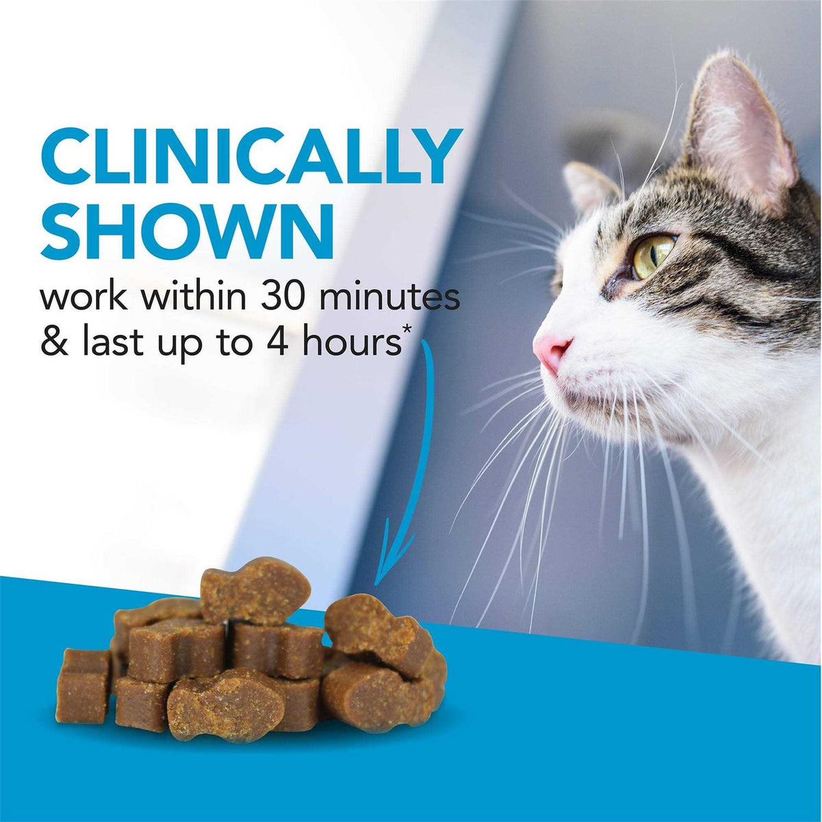 Cat Supplement H4517