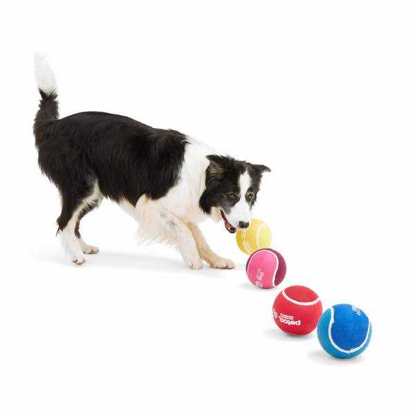 Tennis Ball Dog Toy Q89569