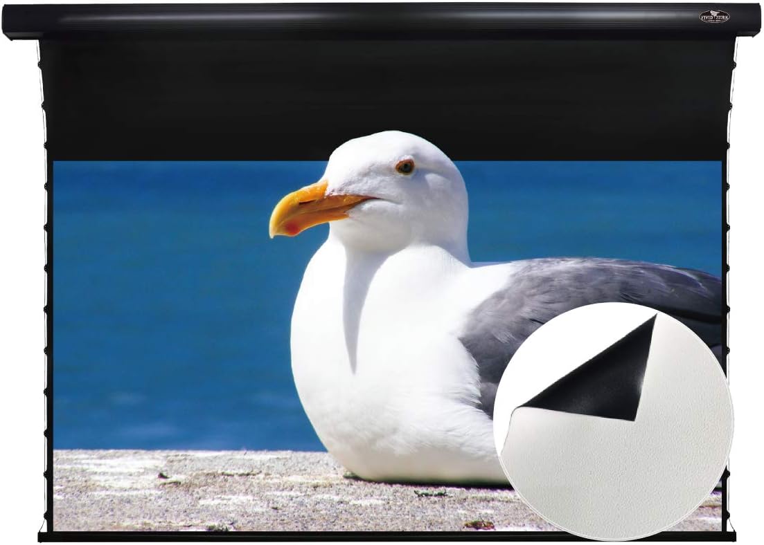 Slimline Motorized Tension Pull Down Screen Projector Perforated Transparent Acoustically White Cinema K150