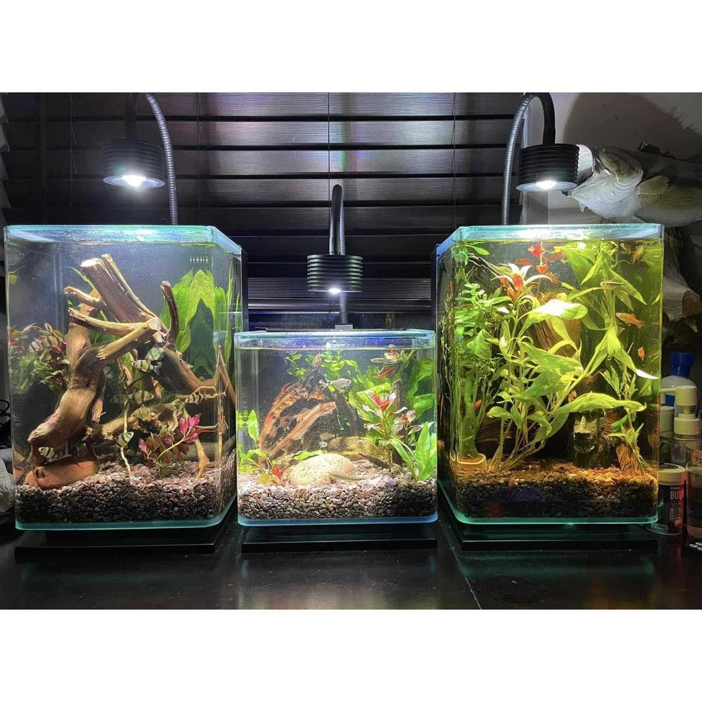 6500k LED Aquarium Light with Gooseneck D527