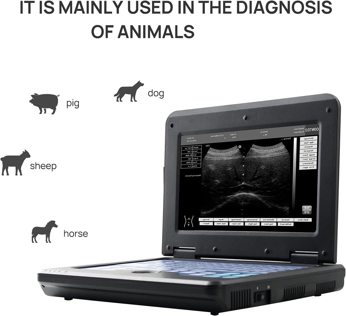 Veterinary Ultrasound Scanner with Convex and Rectal Linear Probe A22577