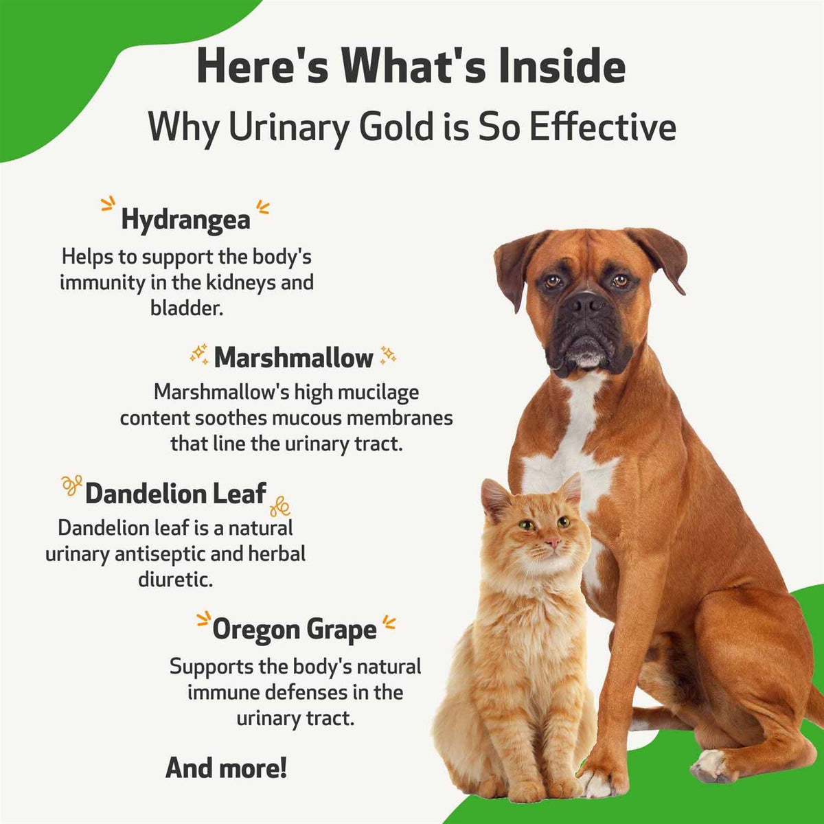 Urinary Tract Health E834